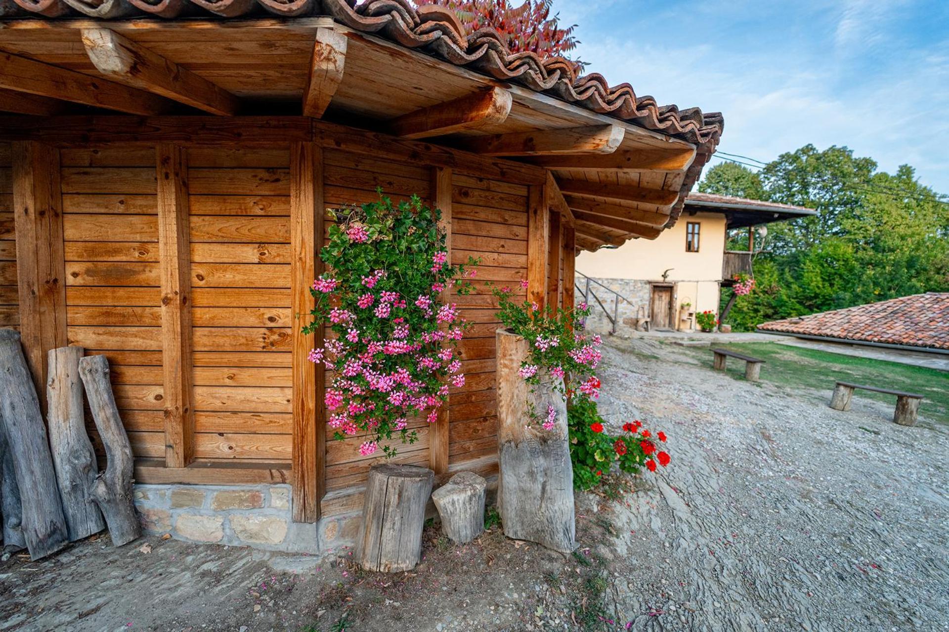 Guest House Kandaferi 2 Elena Exterior foto
